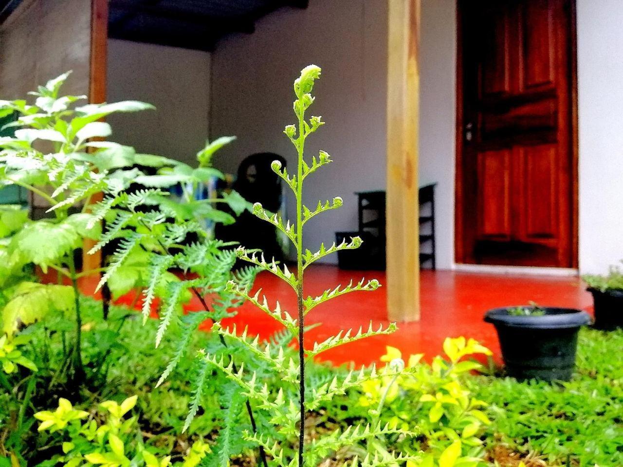 Ella Hotel Upper Hill エクステリア 写真